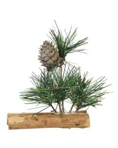 Pemë dekorative, 7x10x11 cm