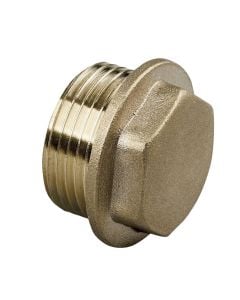 M Brass Threaded Cap 1/4"