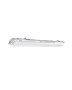 LED neon light BRAYTRON, 0,6Mt, T8, tube, G13, SINGLE, SIDE, TUBE, , 220V-240V AC
