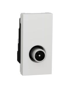 Prize TV, e bardhe , mashkull