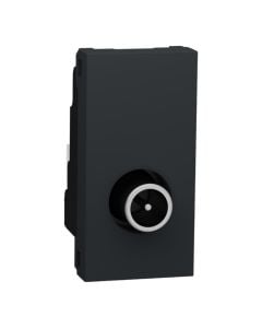 Prize TV, e zeze, mashkull