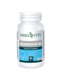 Nutritional supplement for the nervous system, Magnesium B6