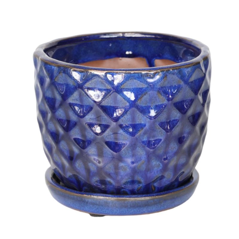 Vaso Como Turchese Ivyline 14x14x12: Un'esplosione Di Colore Per Le Tue Piante